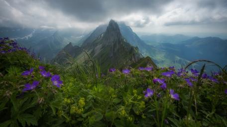 Appenzell Alps at spring wallpaper