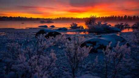 Winter Sunset Reflections Over a Tranquil Lake wallpaper