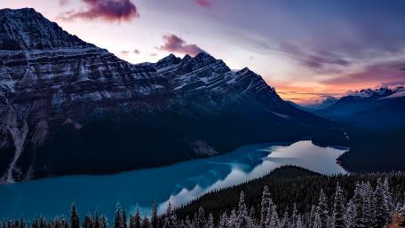 Peyto Lake (Banff National Park) wallpaper