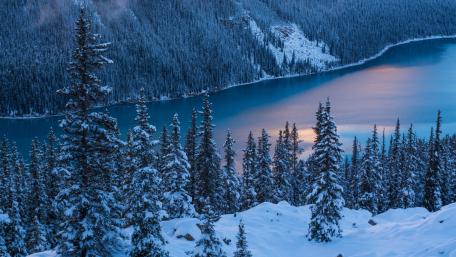 Peyto Lake wallpaper