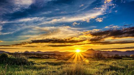 Golden Sunlight Over Tranquil Fields wallpaper