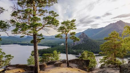 Tranquil Lakeside Serenity with Majestic Trees wallpaper