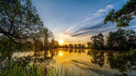 Serene Morning Reflections on the Lake wallpaper