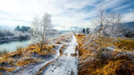 Winter Wonderland by the Canal wallpaper