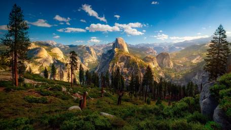 Half Dome wallpaper