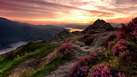 Scottish fields wallpaper