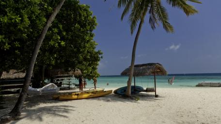 Tropical Paradise by the Sea wallpaper