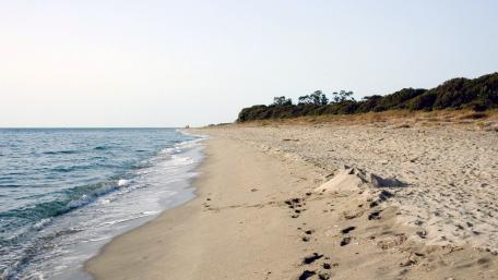 Serene Beach Shoreline Under Clear Sky wallpaper