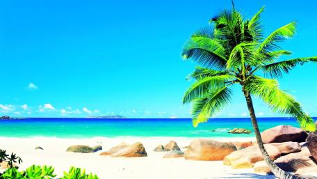 Anse Source d'Argent wallpaper