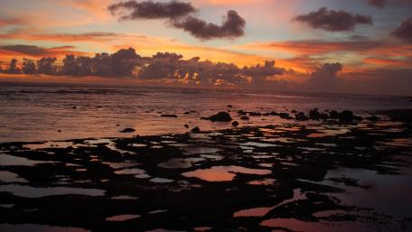 Serene Sunset Over Tranquil Beach Waters wallpaper