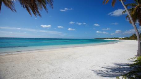 Tranquil Beach Paradise Awaits You wallpaper