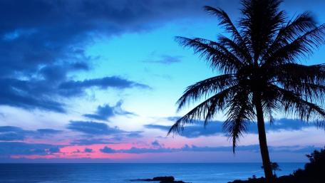 Serene Dusk Over the Tranquil Sea wallpaper