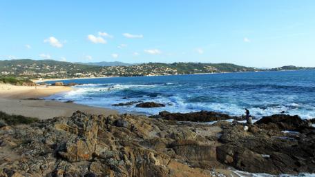Serene Coastal Escape for Nature Lovers wallpaper