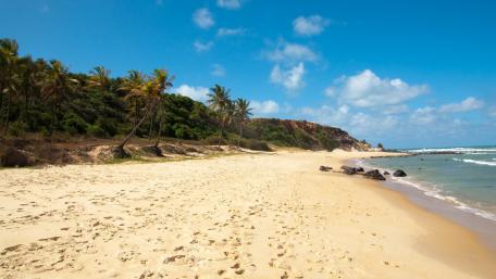 Tranquil Sandy Beach View wallpaper
