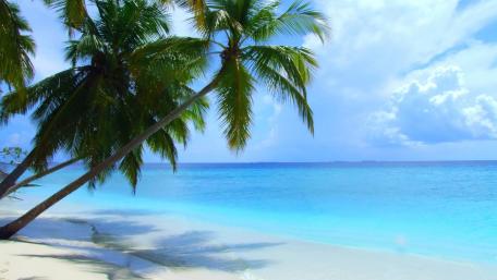 Maldives tropical beach wallpaper