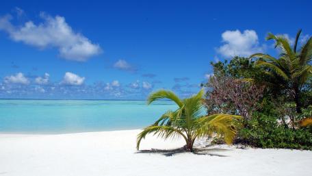 Maldives Beach wallpaper