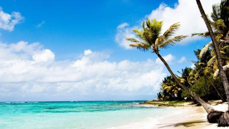 Caribbean beach wallpaper