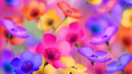 Colorful flowers wallpaper