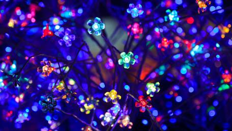 illuminating flowers wallpaper