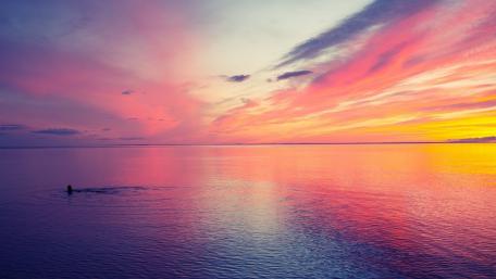 Serene Pink Sunset Over Tranquil Lake wallpaper