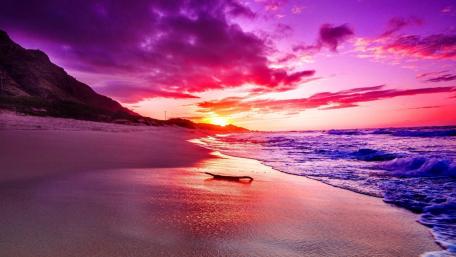 Vibrant Sunset Over Tranquil Beach Scene wallpaper