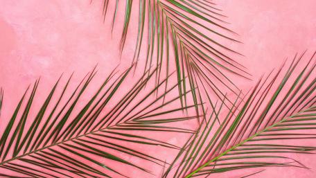 Pink Paradise with Palm Leaves Magic wallpaper