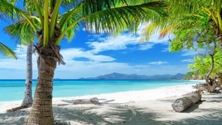 Tropical Paradise Escape wallpaper