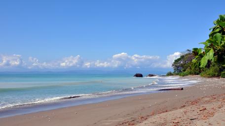 Tranquil Beach Serenity wallpaper