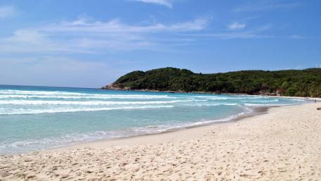 Tranquil Beach Escape in Paradise wallpaper