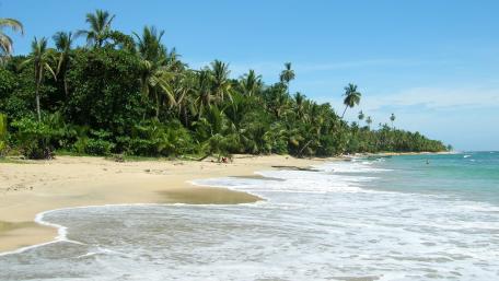 Tropical Paradise Serenity wallpaper