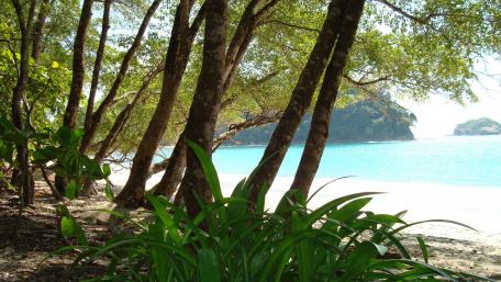 Tranquil Beachside Escape wallpaper