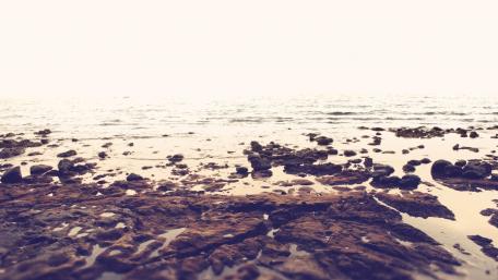 Serene Beach Horizon View wallpaper