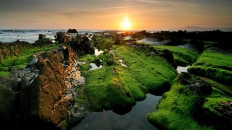 Tranquil Sunset Over Algae-Covered Rocks wallpaper