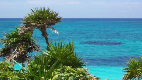 Tulum Beach wallpaper
