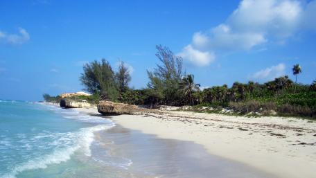 Tranquil Beach Shoreline Scene with Gentle Waves wallpaper