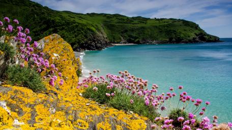 Polperro Heritage Coast wallpaper