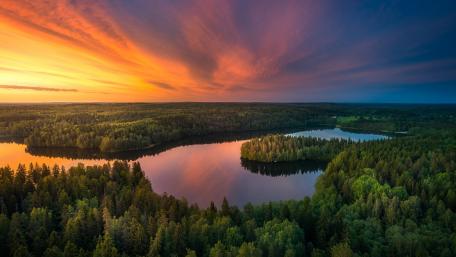 Lusikkaniemi peninsula, Aulanko Nature Reserve wallpaper