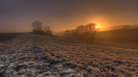 Frosty Sunset Over a Tranquil Grassland Field wallpaper