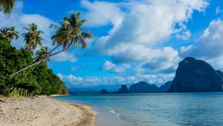 Paradise Shoreline with Palm Trees and Blue Waters wallpaper