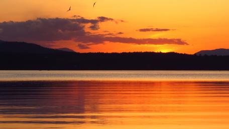 Serene Sunset Over Tranquil Lake wallpaper