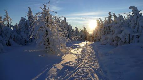 Serene Winter Pathway in Glowing Snow Light wallpaper