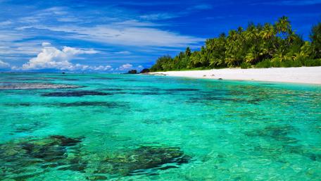 Tropical Paradise Escape in Crystal Clear Waters wallpaper