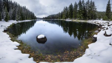 Winter Serenity by the Frozen Lake wallpaper