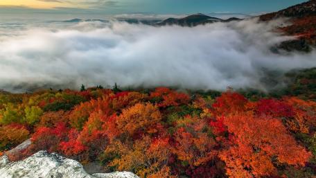 Vibrant Autumn Foliage Under Misty Clouds wallpaper