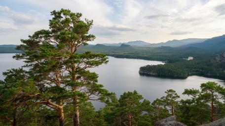 Serene Lake View Amidst Lush Greenery wallpaper