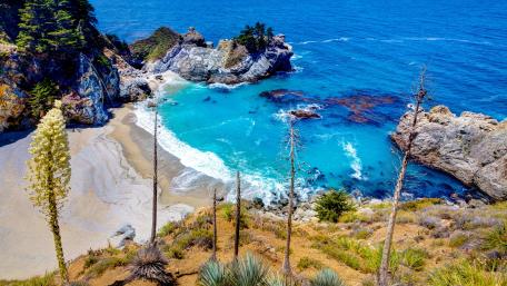 Julia Pfeiffer Burns State Park wallpaper