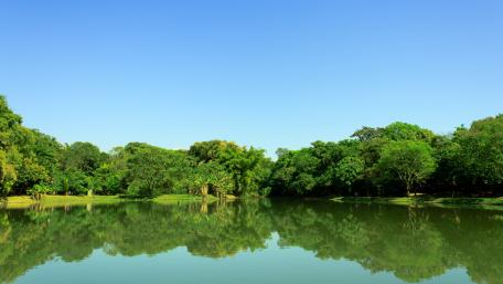 Tranquil Lake Reflection in Nature's Embrace wallpaper
