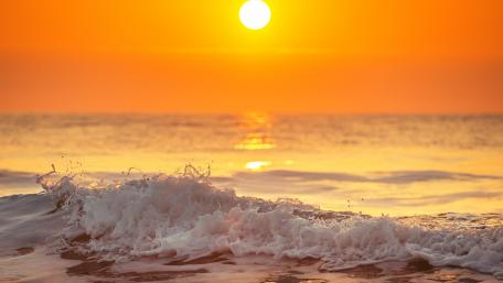 Golden Horizon by the Tranquil Sea wallpaper