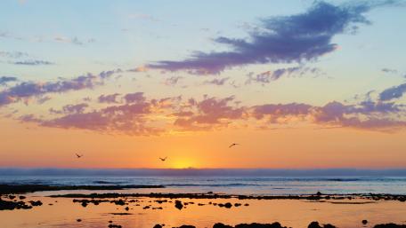Serene Sunset Over Tranquil Beach View wallpaper
