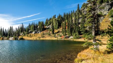 Tranquil Lake Surrounded by Majestic Pines wallpaper